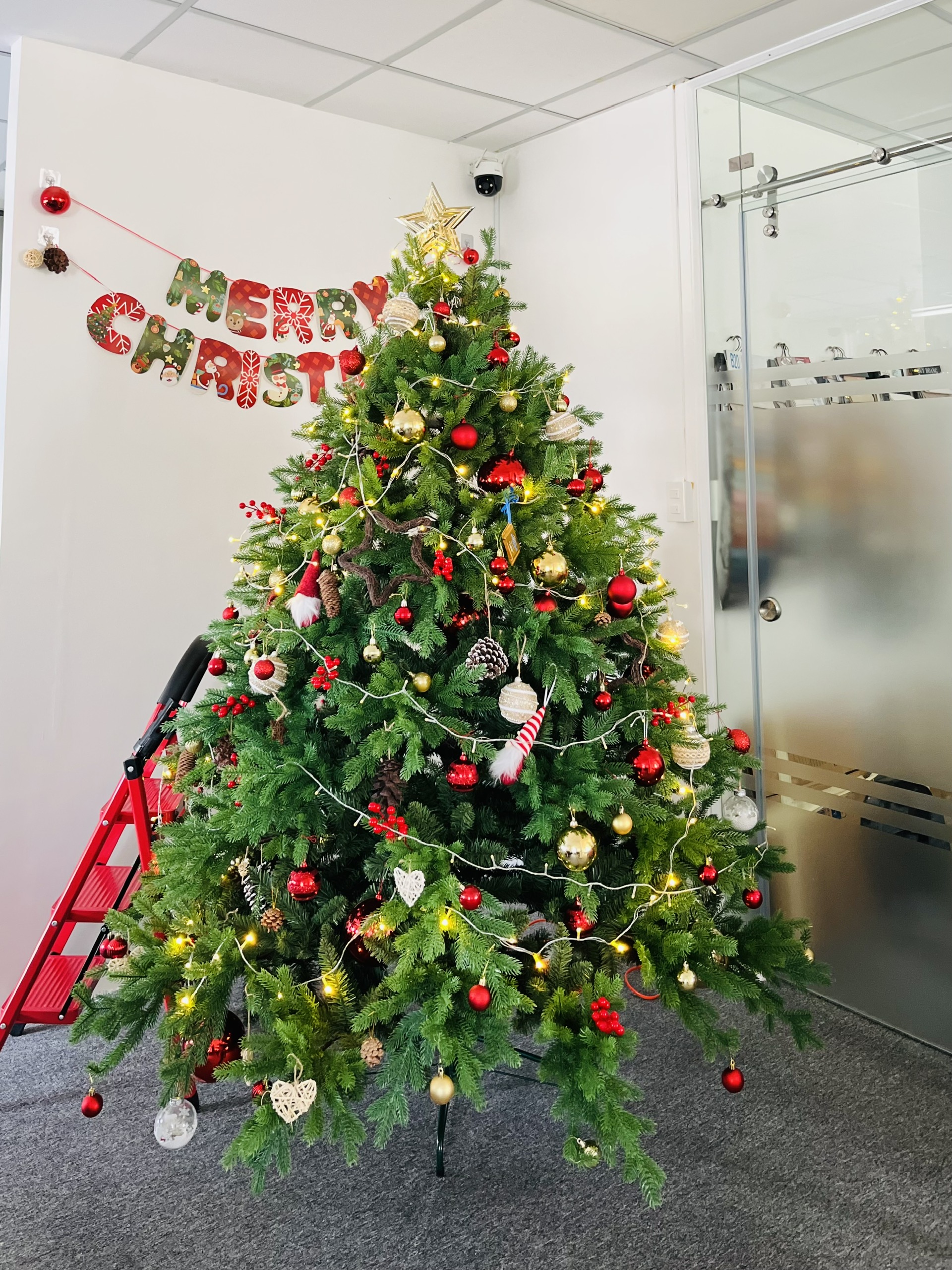 🎄 Christmas Colors Have Filled CLAH! 🌟